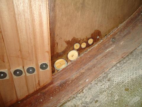 These are plugs I installed to fill old holes that the original plumbing ran through.