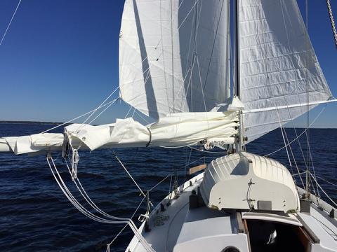 The classic "trade wind" rig. Two headsail poled out--the big jib to a snatch block on the boom and the staysail to the whisker pole. The lazy jacks are clearly