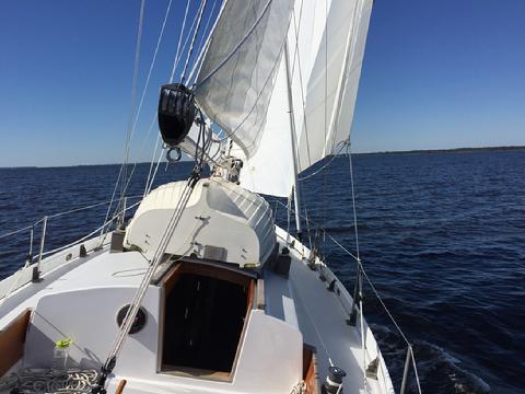 Another view. I used my light air sheet sof the drifter. I never got around to measuring the length. We just enjoyed the sailing today.